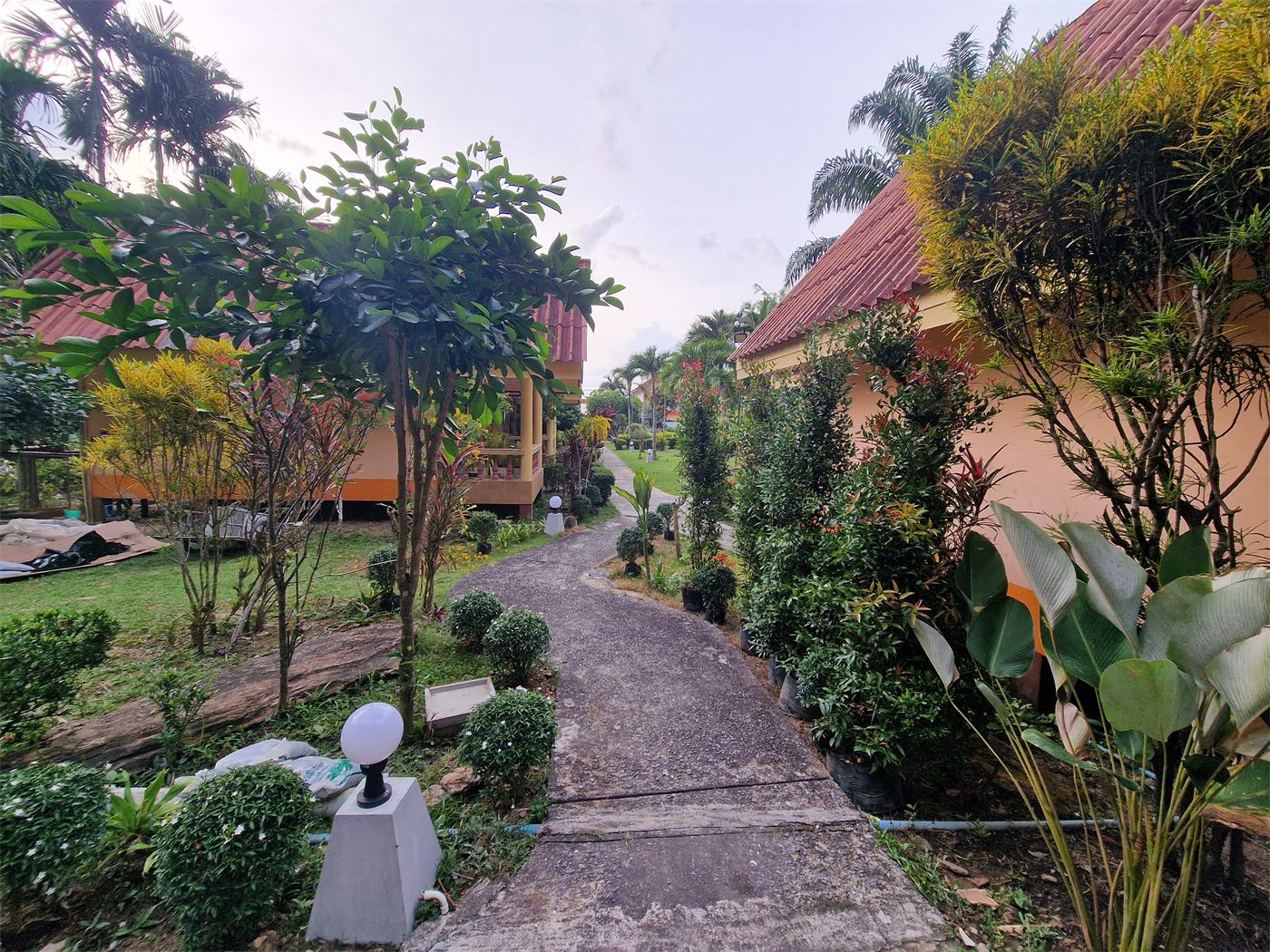 The winding path between the bungalows