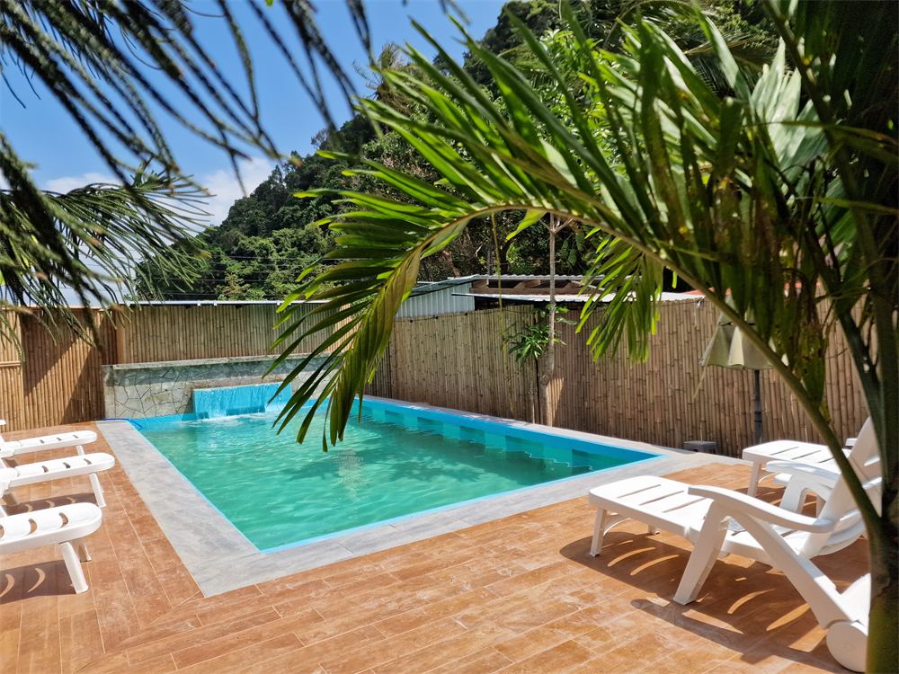 Pool deck under palm leaves